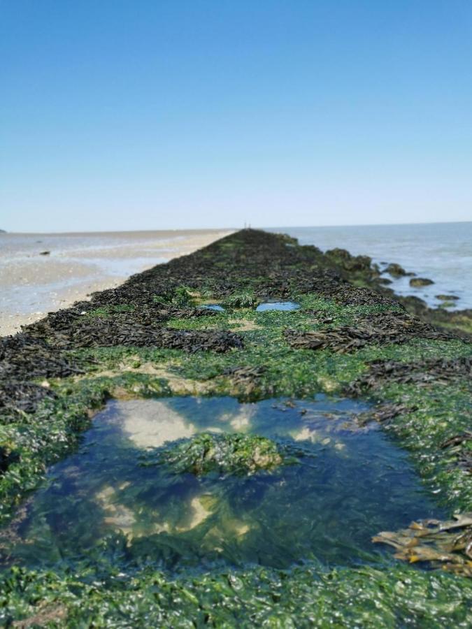 La Cabane Du Pecheur Honfleur Exteriör bild