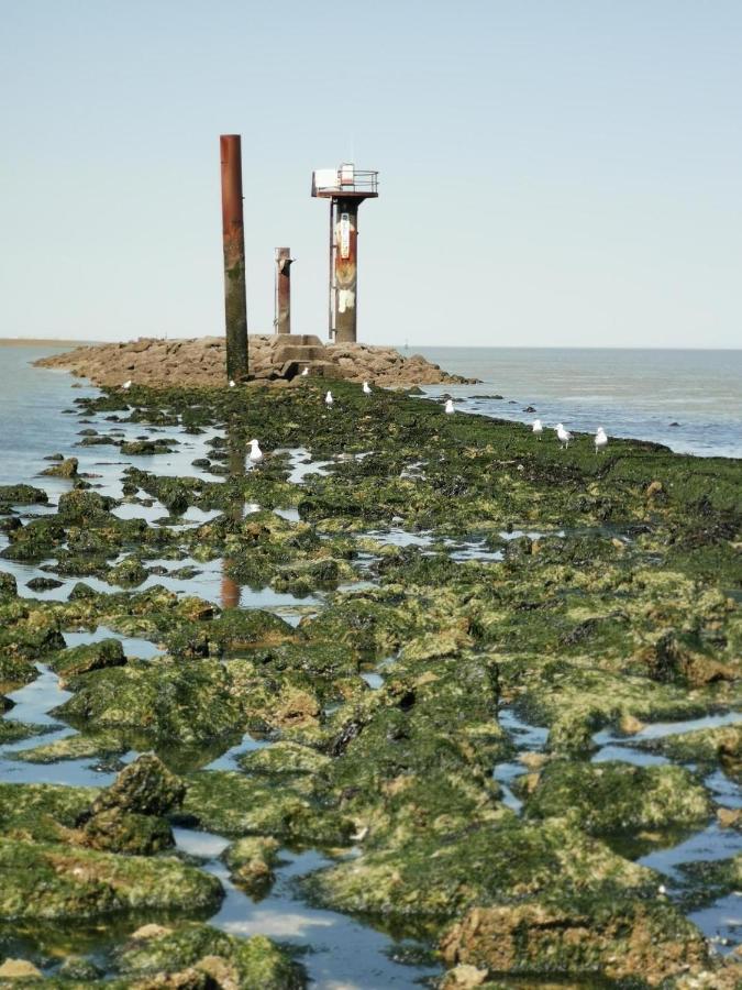 La Cabane Du Pecheur Honfleur Exteriör bild